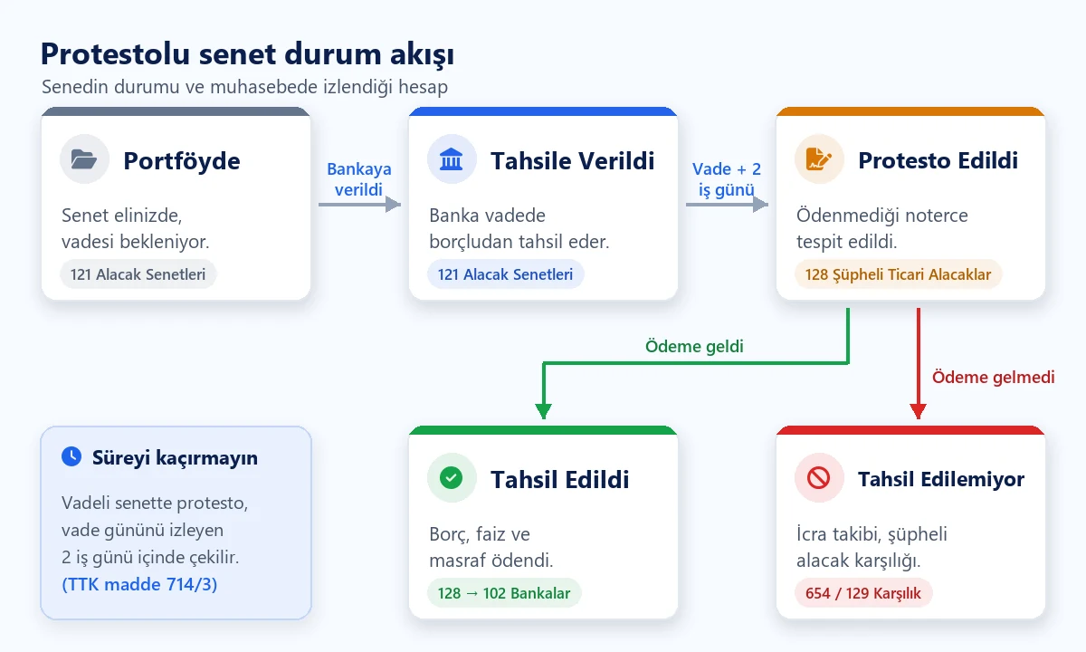 Protestolu senet durum akışı: Portföyde, Tahsile Verildi ve Protesto Edildi durumlarından sonra Tahsil Edildi veya Tahsil Edilemiyor; her durumun muhasebe hesabı ve 2 iş günlük protesto süresi