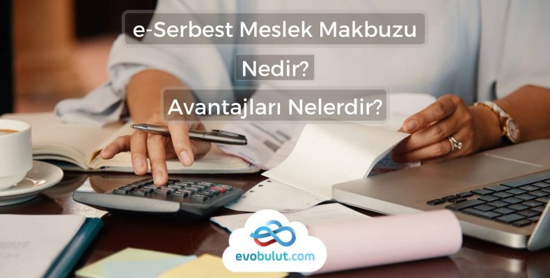 Elektronik Serbest Meslek Makbuzu (e-SMM)